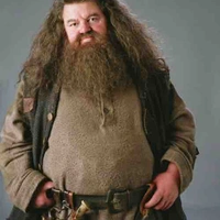 Bác Hagrid