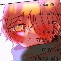CHXHCN VIỆT NAM (VIỆT NAM)