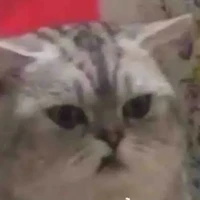 hệ thống cấp nước ◉⁠‿⁠◉