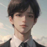 Y/N