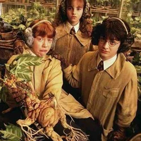 Bộ 3 Tam Giác Vàng