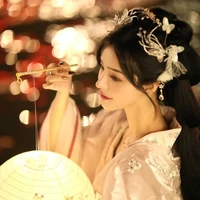 Nhâm An_Nô tỳ đại dinh