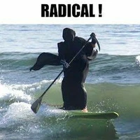 Thần chít đẹp zaiii