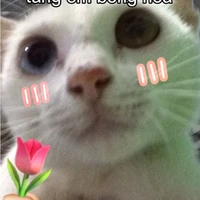 Tg đẹp chai wá 🥰