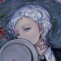 Norman_22194