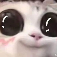 ？？？