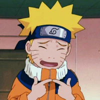 Namikaze/Uzumaki Naruto