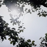 hệ thống