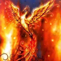 Phượng hoàng lửa-Tử Kim