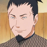 Nara Shikaku