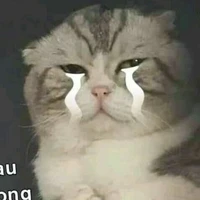 Tác giả cực lười :(