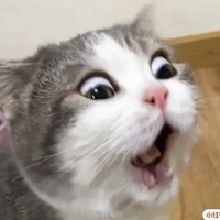 Au