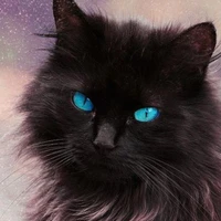 Engfa (hình dạng mèo)