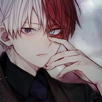 Todoroki Shouto (Shoto?)