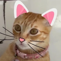 tác giả dethw~