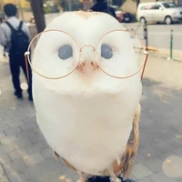 Erudite (tara)