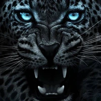 Scream (ler)