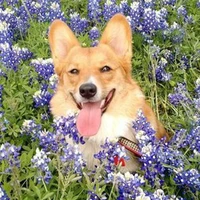 Happy(Becky)