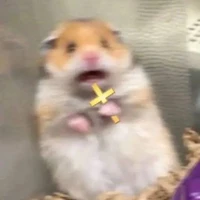 -các nv nữ phụ-