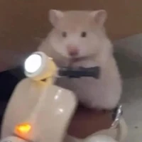 -các nv nam phụ-