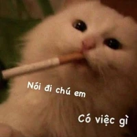 nv chung