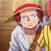 Shanks