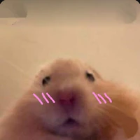 Chuna Chuna