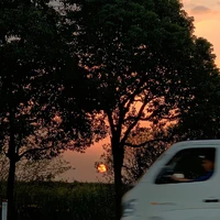 All tất cả