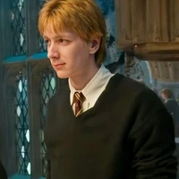 Fred Weasleys