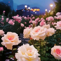 đám học sinh nữ