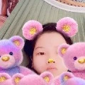 Đỗ phượng
