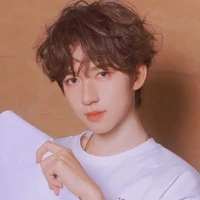 Hạ Tuấn Lâm