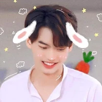 win metawin