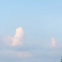 Tổ mẫu
