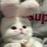 You