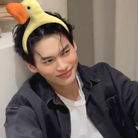 Metawin Opas-iamkajorn