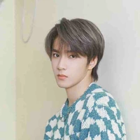 Lưu Diệu Văn 