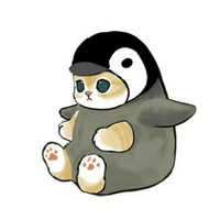 002- mèo không phải mèo