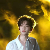 Hạ Tuấn Lâm