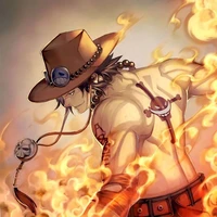 Portgas / Gold D Ace