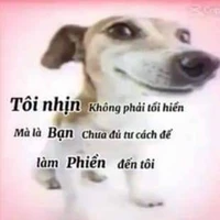 dạo này bé dương hơi bị điệu😏