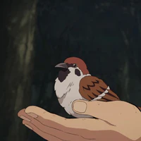 Chuntaro