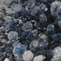 Nhiều người _ Trẻ con