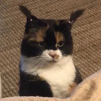 ？？？