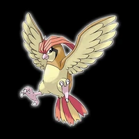 Pidgeot