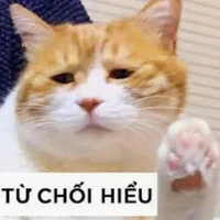 cân tất cả NV