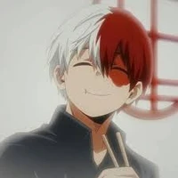 Shota Todoroki
