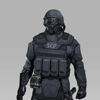 Mobile Task Force 