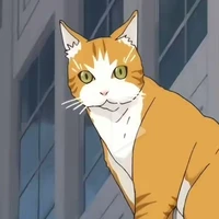 Một Neko_chan