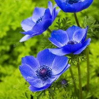 All